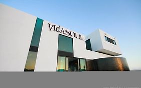 Vidasoul Hotel